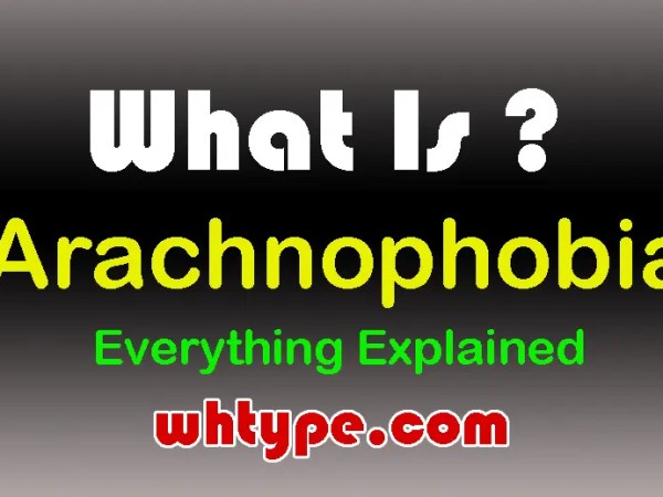 Arachnophobia: Causes, Symptoms, Treatment, Diagnosis, Risk Factors & Complete FAQ&nbsp;Guide