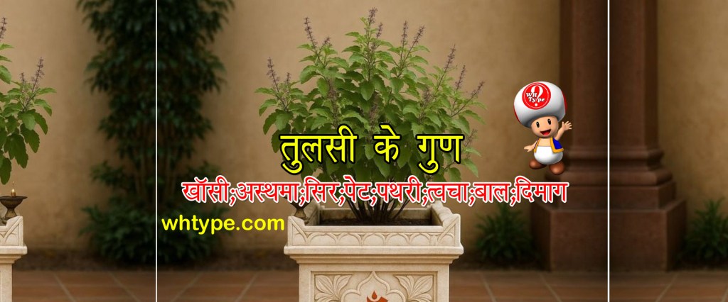 तुलसी के फायदे