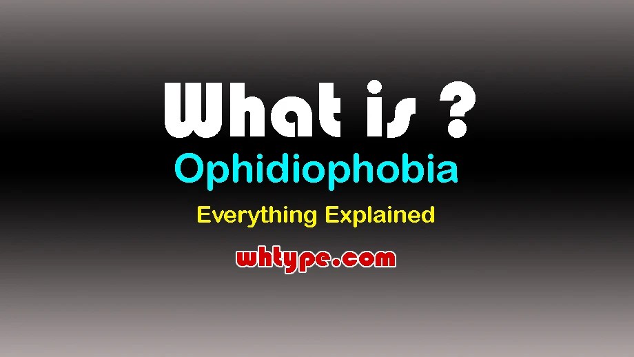 Ophidiophobia: Causes, Symptoms, Diagnosis, Treatment & Complete Guide (Fear of Snakes&nbsp;Explained)