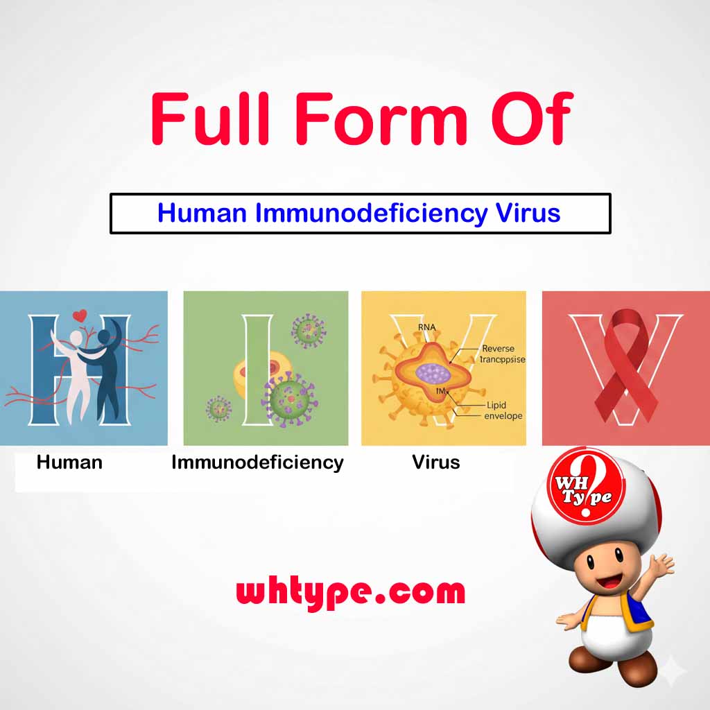 what is the full form of HIV whtype.com